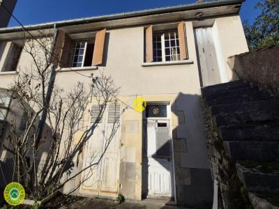 For sale House SANCOINS 