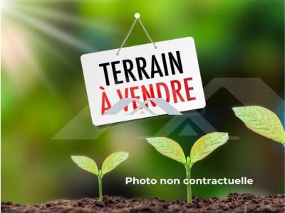 Vente Terrain RAVINE-DES-CABRIS 97432