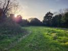 Acheter Terrain 768 m2 Barbatre
