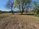 Vente Terrain Venzolasca 20