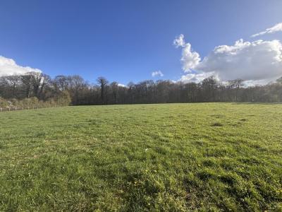 Vente Terrain ARGENTAN 61200