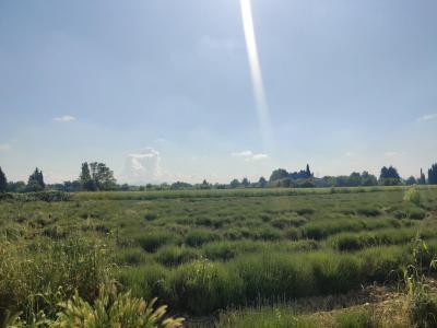 Vente Maison ORANGE 84100