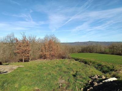 Vente Terrain MIRANDOL-BOURGNOUNAC 81190