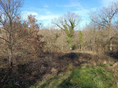 Vente Terrain MIRANDOL-BOURGNOUNAC 81190