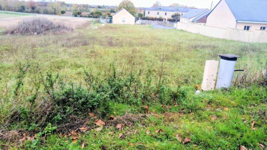 Vente Terrain LOURESSE-ROCHEMENIER 49700