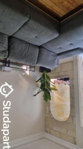 Location Appartement BORDEAUX 33800