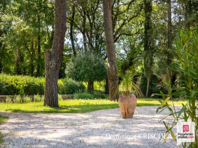 Vente Maison 12 pi�ces TOURVES 83170