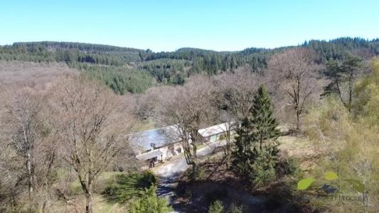 Vente Prestige VEIX 19260