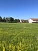 Acheter Terrain Grandes-chapelles 42990 euros