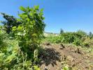 Acheter Terrain Saint-joseph 150000 euros