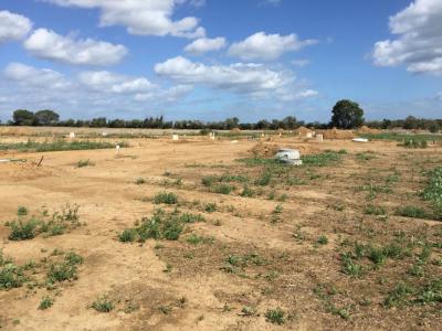 Vente Terrain FONTAINE-ETOUPEFOUR 14790