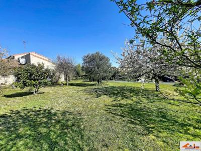 Vente Maison AUZEVILLE-TOLOSANE 