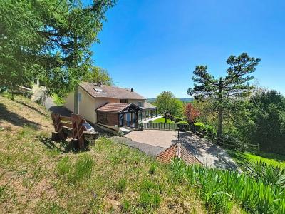 For sale House LUZINAY 