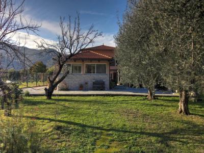 Vente Prestige SAINT-MARTIN-DU-VAR 06670