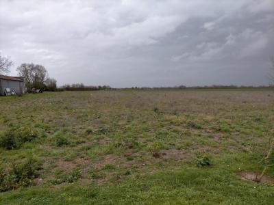 Vente Terrain SAINT-NAZAIRE-SUR-CHARENTE 17780