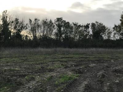 Vente Terrain ROCHEFORT 17300