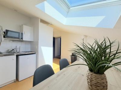 Location Appartement ROANNE 42300