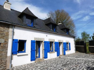 Vente Maison SAINTE-BRIGITTE 