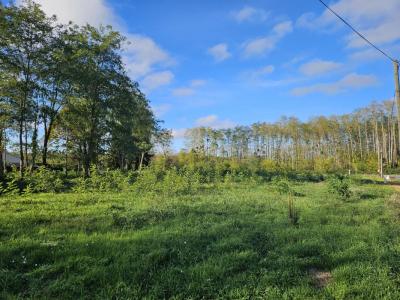 Vente Terrain CASTRES-GIRONDE 33640