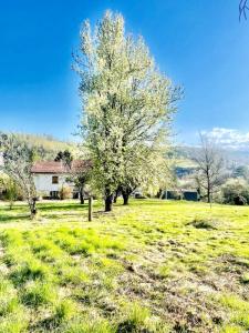 Vente Maison 4 pièces AUBIN 12110