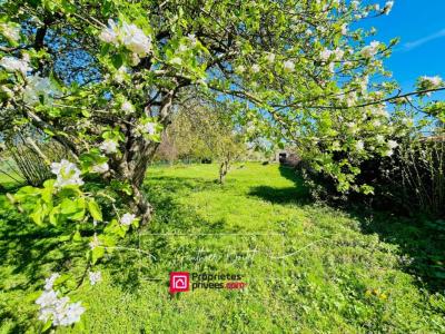 Vente Maison 6 pi�ces COULOMMIERS 77120