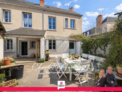 Vente Maison 11 pi�ces VALENCAY 36600
