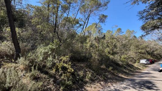 Vente Domaine forestier ENTRECASTEAUX 83570