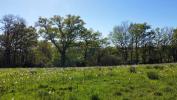 Annonce Vente Terrain Gigouzac