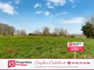 Vente Terrain Esternay  51310 1910 m2