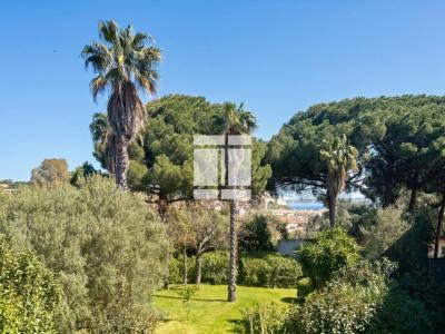 Vente Appartement 2 pi�ces CALVI 20260