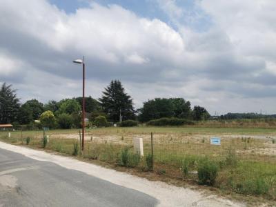 Vente Terrain PUYNORMAND 33660