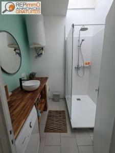 Location Appartement 2 pi�ces GRENOBLE 38100