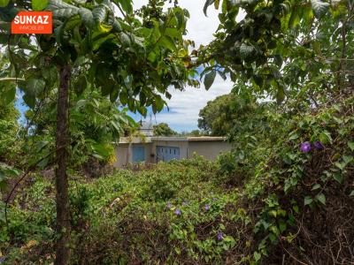 For sale House RAVINE-DES-CABRIS 