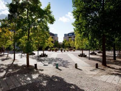 For rent Apartment ORLEANS 