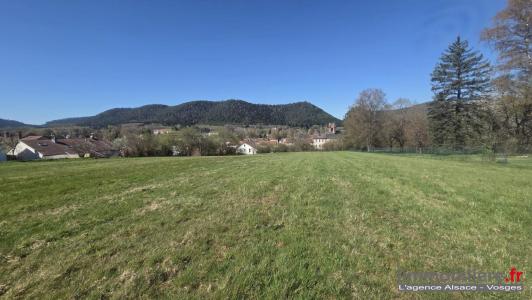 Vente Terrain ETIVAL-CLAIREFONTAINE 88480