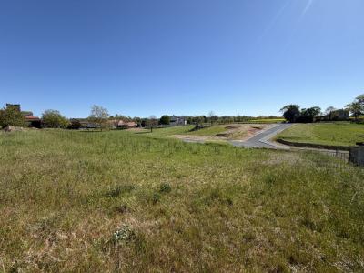 Vente Terrain MONTDRAGON 81440