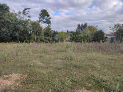 Vente Terrain CASTRES-GIRONDE 33640