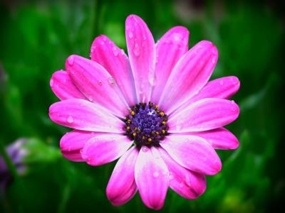 Vente Appartement 2 pi�ces DAX 40100