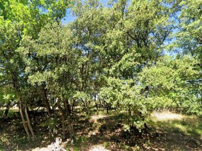 Vente Terrain GRIGNAN 26230