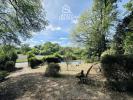 Annonce Vente Terrain Mosnac