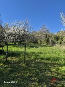 Vente Maison 4 pi�ces BETAUCOURT 70500