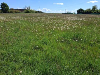 Vente Terrain CHANTECOQ 45320