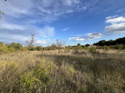 Vente Terrain ROUVIERE 30190