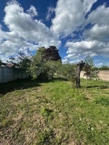 Vente Terrain SAINT-JEAN-LE-BLANC 45650