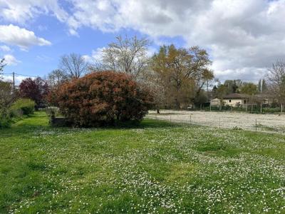 Vente Terrain SAINT-LAURENT-D'ARCE 33240