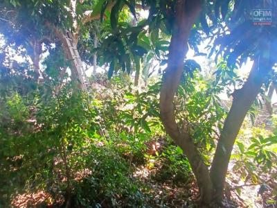 Vente Terrain SAINT-GILLES-LES-HAUTS 97435