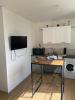 Location Appartement Lyon-7eme-arrondissement 69