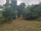 Annonce Vente Terrain Fort-de-france