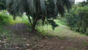 Acheter Terrain Fort-de-france 217000 euros