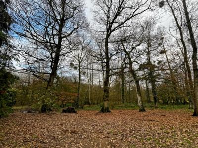 Vente Maison 10 pi�ces PLEMET 22210